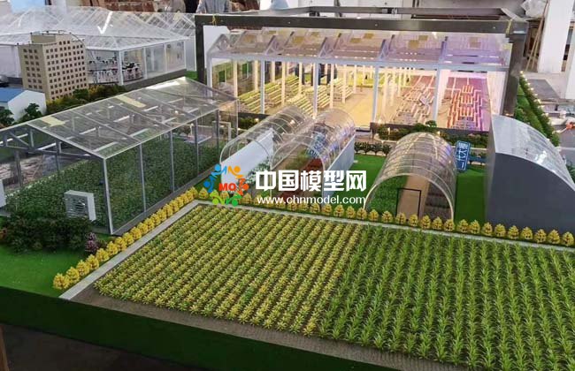  農(nóng)業(yè)大棚模型，畜牧養(yǎng)殖沙盤模型 